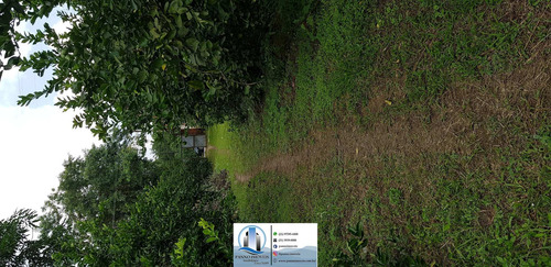 Imagem 12 de 30 de Chácara Em Parque Capivari, Duque De Caxias/rj De 100000m² 2 Quartos À Venda Por R$ 500.000,00 - Ch596274-s