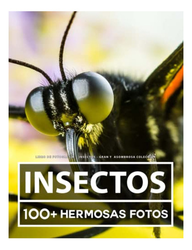 Libro : Libro De Fotografia - Insectos - Gran Y Asombrosa..