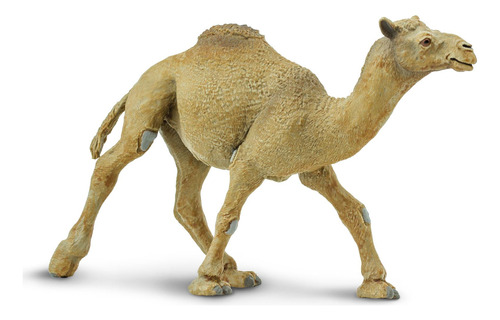 Safari Ltd. Dromedary - Figura De Camello Realista, Pintada.