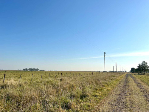 Imagen 11 de 20 de Venta Chacra 15 Hectareas Cañuelas Buenos Aires
