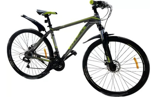 Bicicleta Phoenix Xtr 29 Color Gris/verde