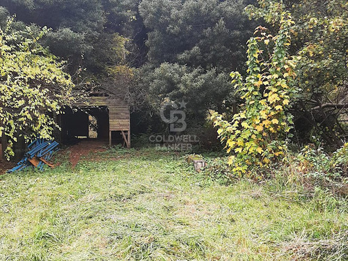 Gran Casa De Esquina Con Sitio En Osorno.