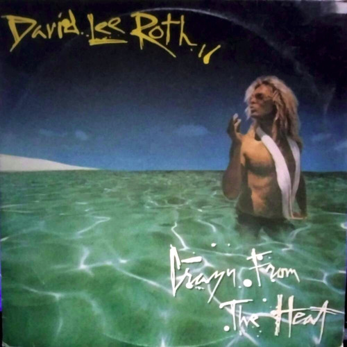 Lp David Lee Roth Crazy From The Heat 1985 Com Encarte (Usado)