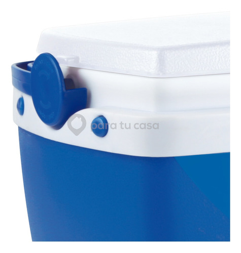 Imagen 4 de 10 de Lunchera Heladerita Conservadora Camping Escolar 6 L Mor Ct