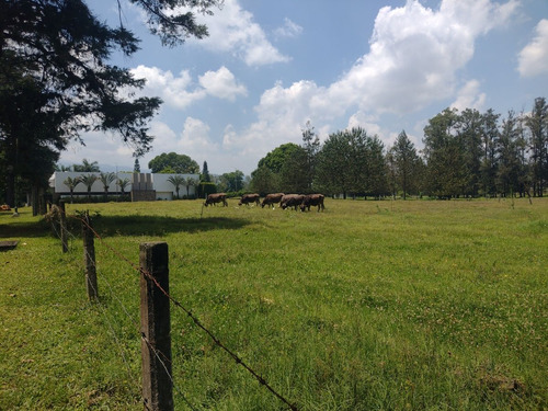 Terreno Campestre A La Venta En Frac. Manantial , Xalapa, Veracruz
