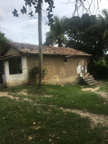 Imagem 10 de 20 de Qualidade De Vida Pra Você, Ótima Granja 06 Hec, Lazer Em Bonança, Aceito Imóvel/carro - Ch00022 - 68991934
