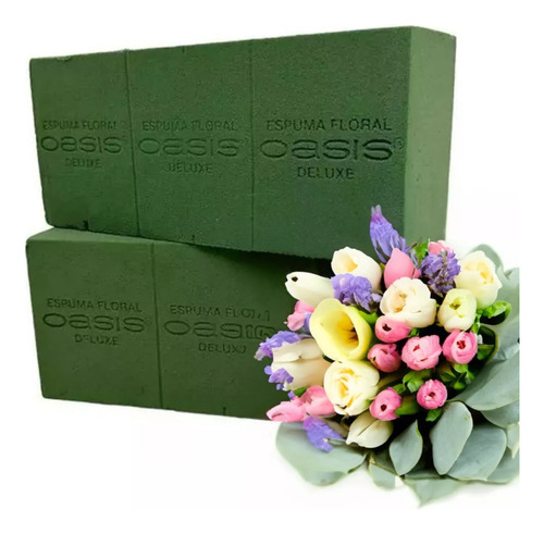 Esponja Floral Oasis Espuma Para Flores Follajes Macetas X2