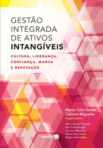 Gestão integrada de ativos intangíveis: Cultura, liderança, confiança, marca e reputação, de Almeida, Ana Luísa de. Editora Saraiva Educação S. A., capa mole em português, 2017