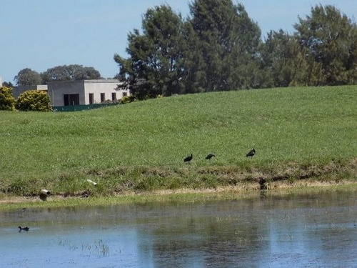 Imagen 5 de 10 de Terreno En Venta En El Espinillo Golf