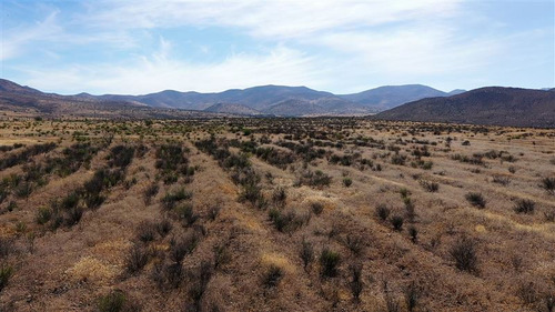 Venta Terreno De 11 Ha En Higueritas Unidas, Ovalle