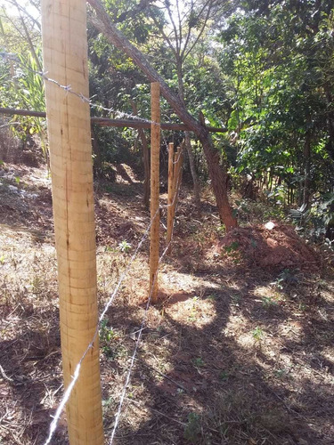 Imagem 5 de 6 de Chácara De 8.000 M² Á Venda