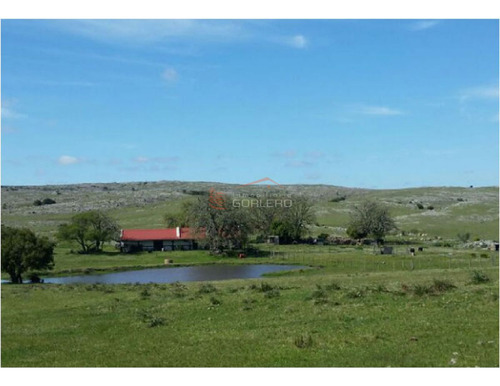 Imagen 19 de 21 de Campo En Uruguay, Aiguá, Ruta 13