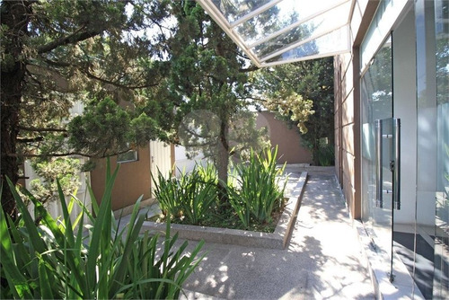 Alto De Pinheirtos - 353-im310873