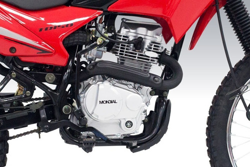 Imagen 10 de 25 de Patentadas: Td 150 $535.000 - Td 250 $769.000 Mondial