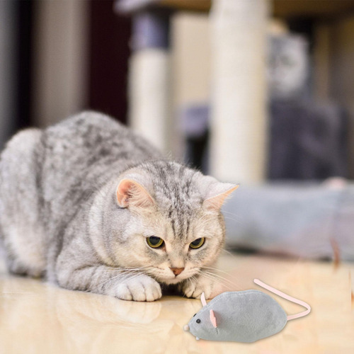 Juguete De Hierba Gatera Catnip Juguetes Para Gatos Con Algo