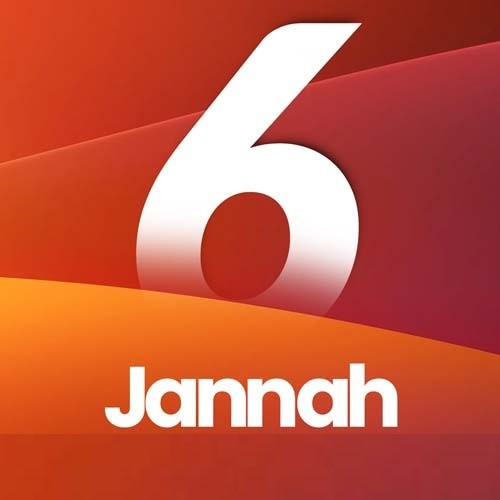 Tema Jannah Ativado, Wordpress Portal De Notícias Blog