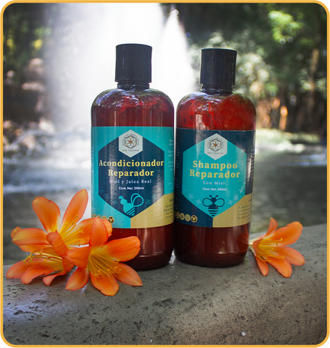 Shampoo Reparador Con Miel 500ml Bee Tierra