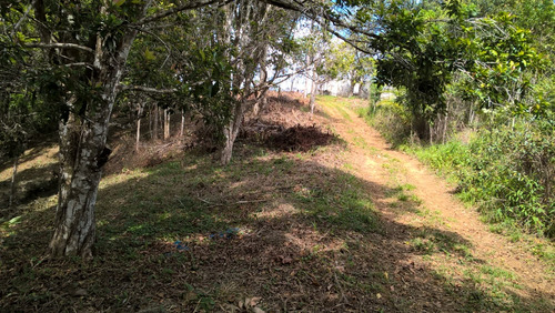 Fazenda 34 Hec. À Venda Em Taperoá-bahia