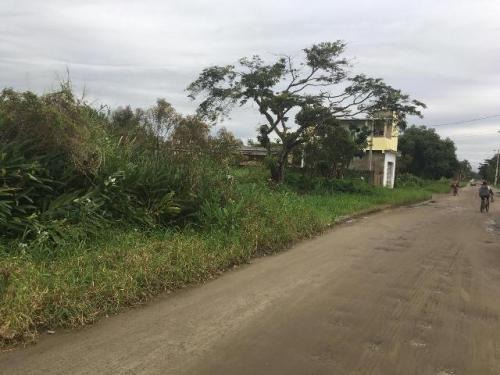 Imagem 1 de 4 de Terreno Com 250m², No Bairro Gaivota Em Itanhaém/sp |5515-pc