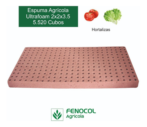 Imagen 2 de 5 de Caja De Espuma Agrícola Para Hortalizas (5.520 Cubos)