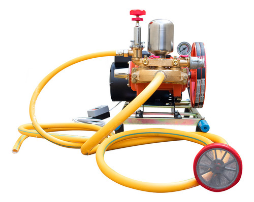 Lavadora Profissional Lava Jato 3cv Pistão 45l Mangueira