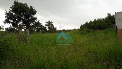 Imagem 4 de 5 de Terreno À Venda, 1000 M² Por R$ 95.000,00 - Vila Velha Ii - Taubaté/sp - Te0111