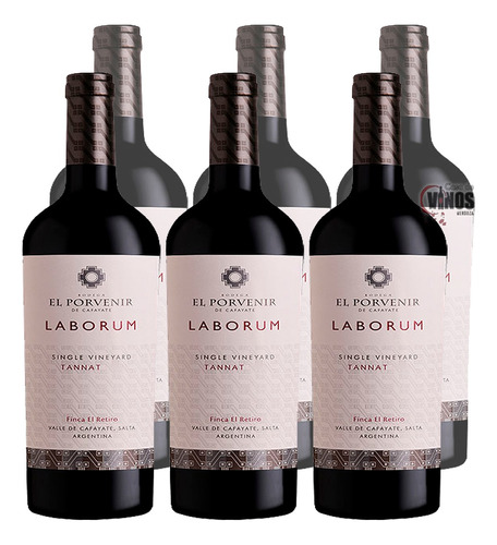 Vino Laborum Single Vineyard Tannat Bodega El Porvenir X6