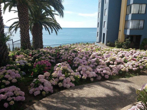 Imagen 25 de 30 de Depto Arriendo Desde 4 Dias O Mas, Gran Oceano, Recreo, ...