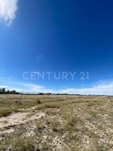 Lote En Venta En Predio El Águila, El Llano, Aguascalientes