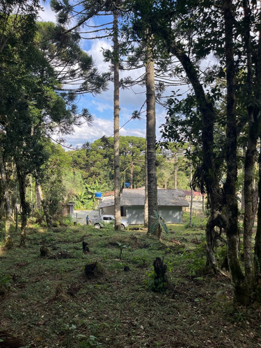 Paraíso À Venda Sítio Com Nascentes, Córrego E Natureza Intocada Em Bocaiuva Do Sul - Pr - 4 Hec