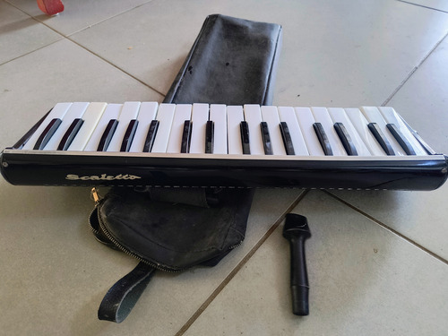 Piano Orgao Giannini Toccata 49 Vintage + Escaleta (sp) (Usado)