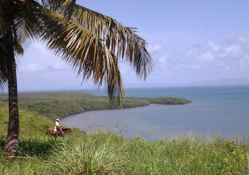 Vendo Terreno Con Playa. Entre Sabana De La Mar Y Miches, Paraje Cabezu De Magua, Entrando Por La Gallera De Los Colorado, República Dominicana.