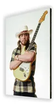 Comprar Cuadros De Stevie Ray Vaughan Y Todos Los Grupos De Música