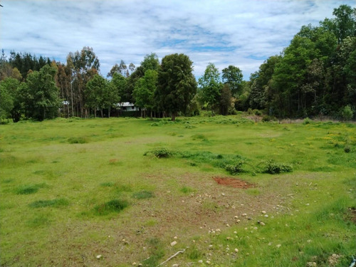 Vende Terreno 6.700 M2 Cerca Lago Ranco, Pillaco, Region De