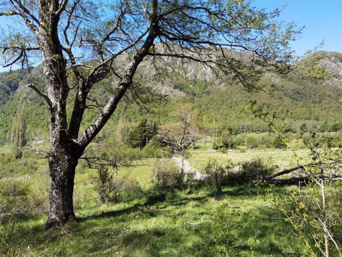 Terreno Construccion En Venta En Curacautín