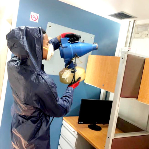 Imagen 2 de 10 de Fumigación Profesional Control De Plagas Exterminio Abejas
