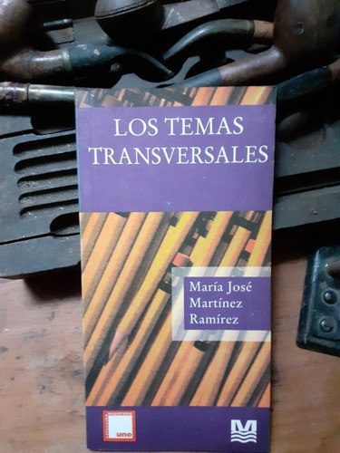 Los Temas Transversales En La Educación / María Martinez