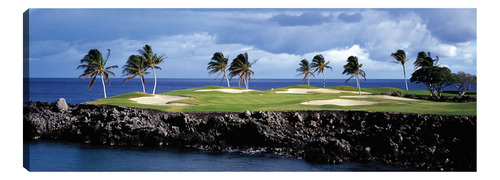 Cuadro Decorativo - Golf En El Paraíso