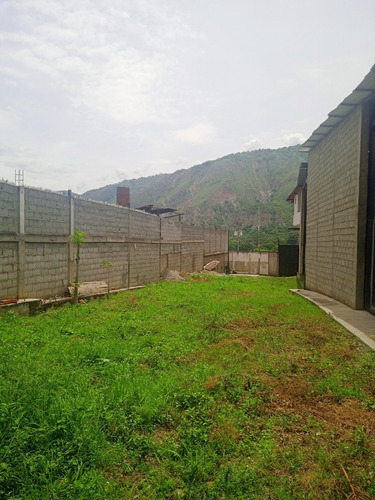 Imagen 7 de 17 de En Venta Galpones Con Apartamentos
