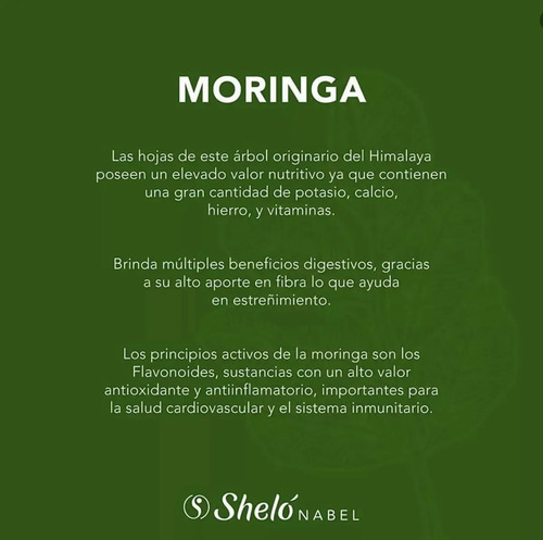 4 Concentrado De Moringa Rico En Vitaminas Defensas + Regalo