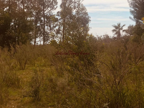 Imagen 16 de 21 de Chacra En Venta En Manantiales Ruta 104, 30 Has