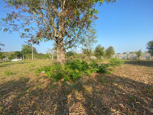 Venta Terreno 3000 M² Juana Moza Frente Al Rio Tuxpan Veracruz