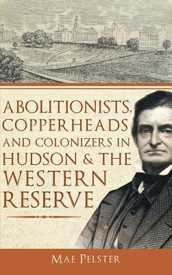 Libro Abolitionists, Copperheads And Colonizers In Hudson...