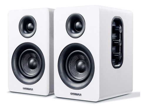 Sanyun Sw208 - Altavoces Activos Bluetooth 5.0 De 3 Pulgada.