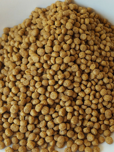 Alimento Balanceado Para Peces Omnivoros X 5 Kg De 6 A 8mm