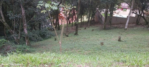 Imagem 5 de 7 de Terreno - Te00007 - 67693248