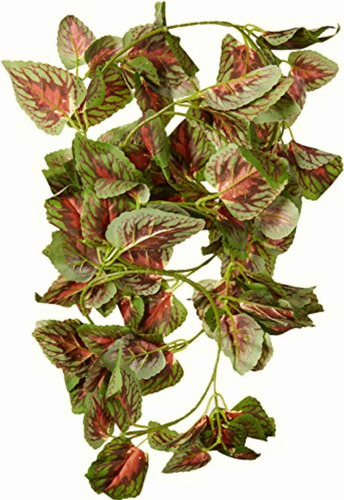 Fluker Repta Vines Para Reptiles Y Anfibios, Red Coleus