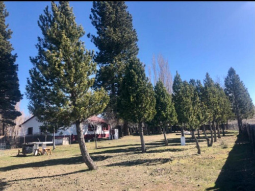 Campo - Tecka