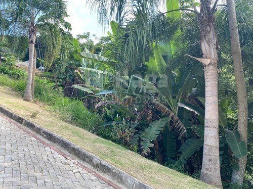 Terreno À Venda Em Brusque/sc - 369