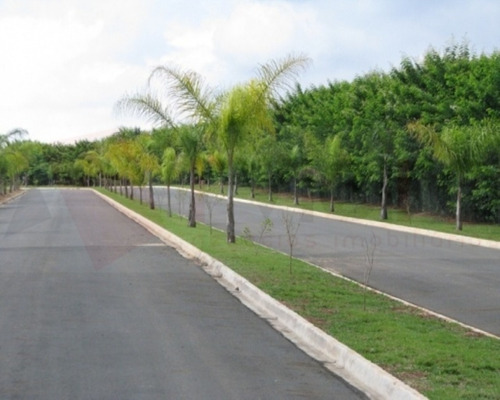 Imagem 6 de 10 de Terreno - 908 - 32401248